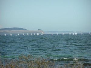 From a Coast in the Eastern part of Denmark