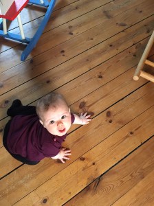 A seven month old baby trying to crawl