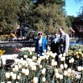 Spring 1965 in&nbsp;Tivoli