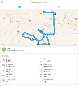 from my Endomondo app.