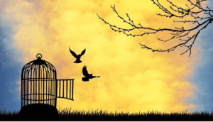 Photo belongs to "An Artist At Heart"