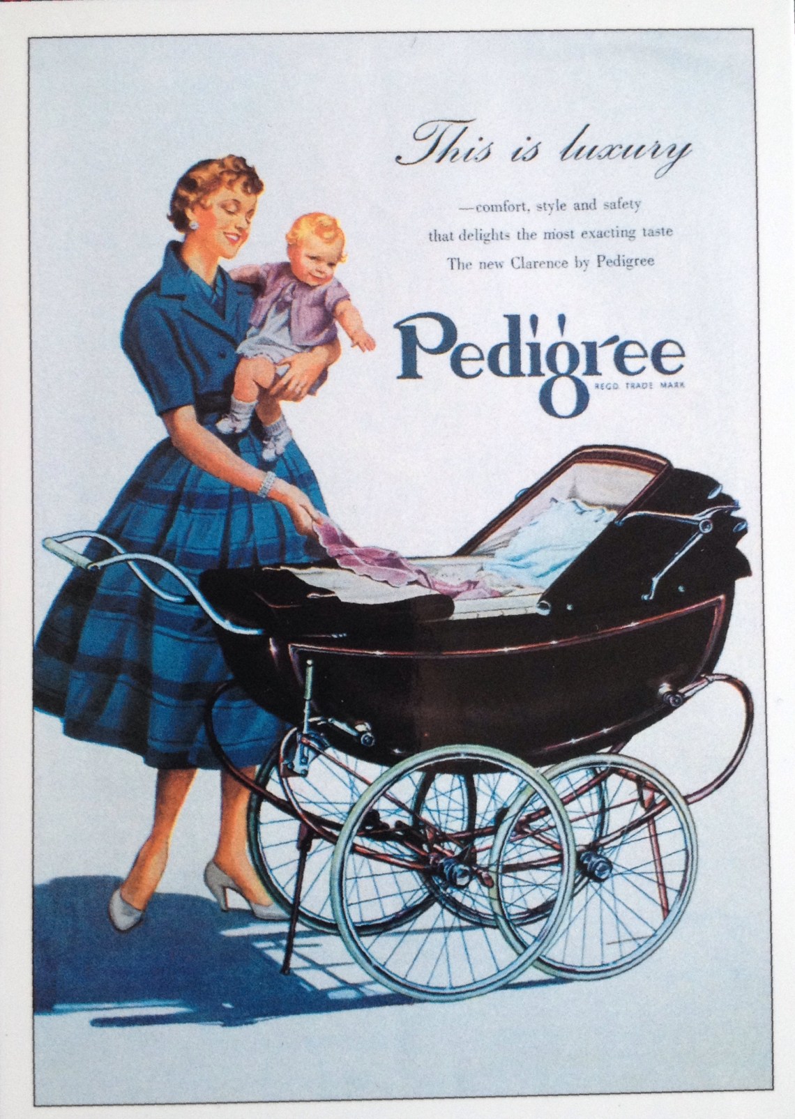 A British model Pedigree from the 1950s