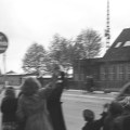 25370033