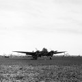 25370061