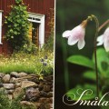 Småland postcard