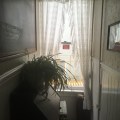 San Remo space