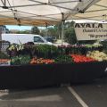 Farmer market at&nbsp;Oxnard
