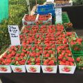 Farmer Market at&nbsp;Oxnard