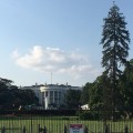 Washington White House, The Rose Garden seen from The Memorial&nbsp;Park