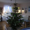 My Christmas tree some years&nbsp;ago