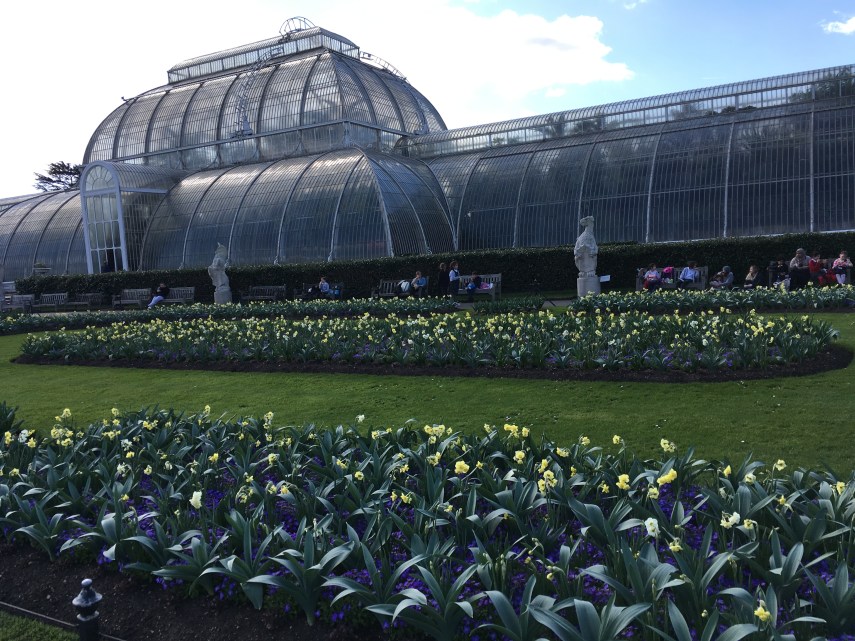 View of the Palm House from the Hope Side of the bench