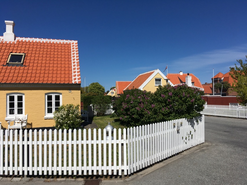 View from the Skagen Museum