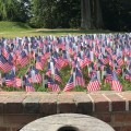 The small American flags decorate the wall at Mount Vernon, one for each new&nbsp;citizen