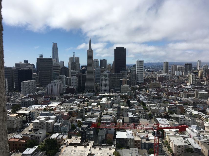 The skyline of SF seen from the Coit Tower