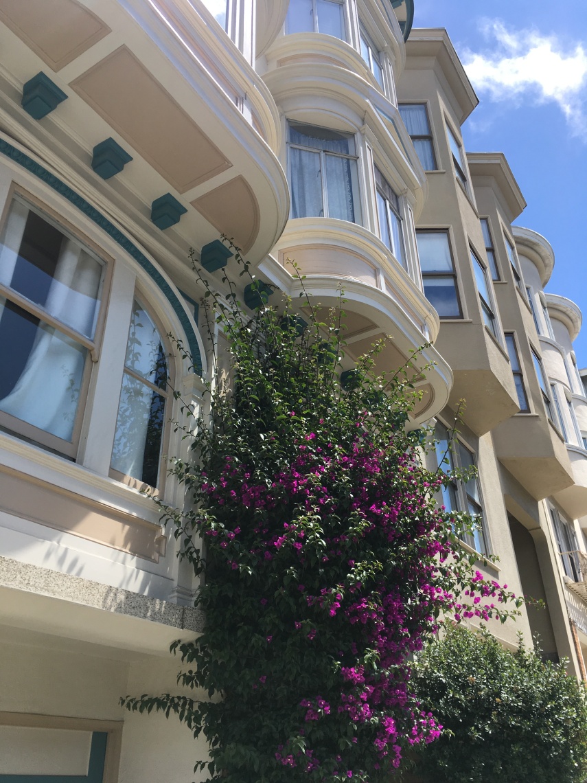 A row of houses at Lombard Street in SF
