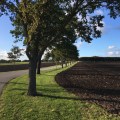 An autumn landscape in the area outside of&nbsp;Viborg