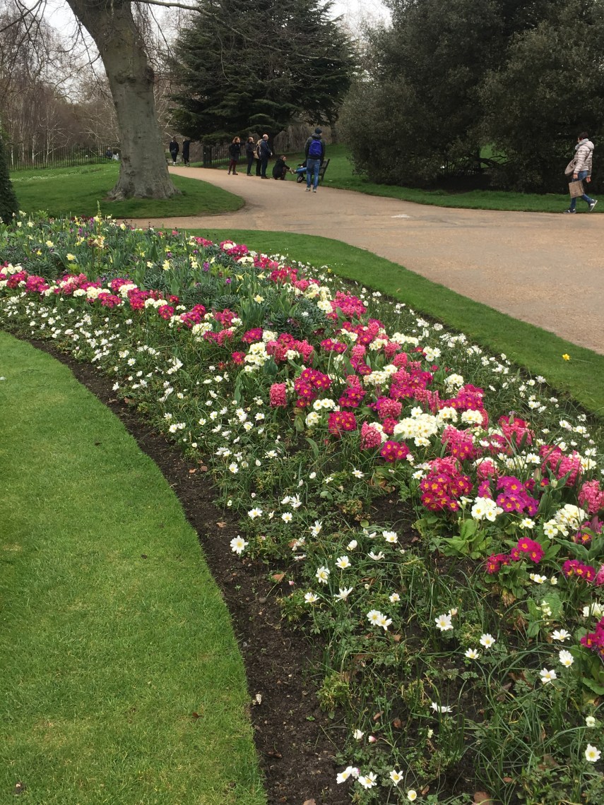 Hyde Park in March 2019