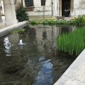 A pond close to Guildhall, City of&nbsp;London