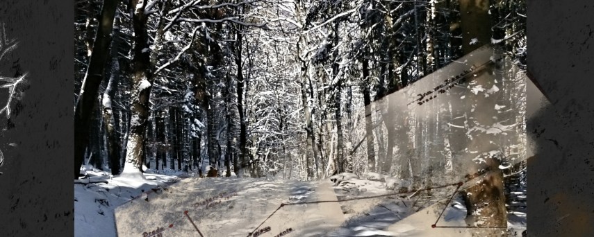 finalcover Courtesy to the author Wendy van Eijnatten's book The Quest for Jan van Boeckel