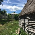 Houses at the Plimoth Plantation Museum. 17th-Century English&nbsp;Village.