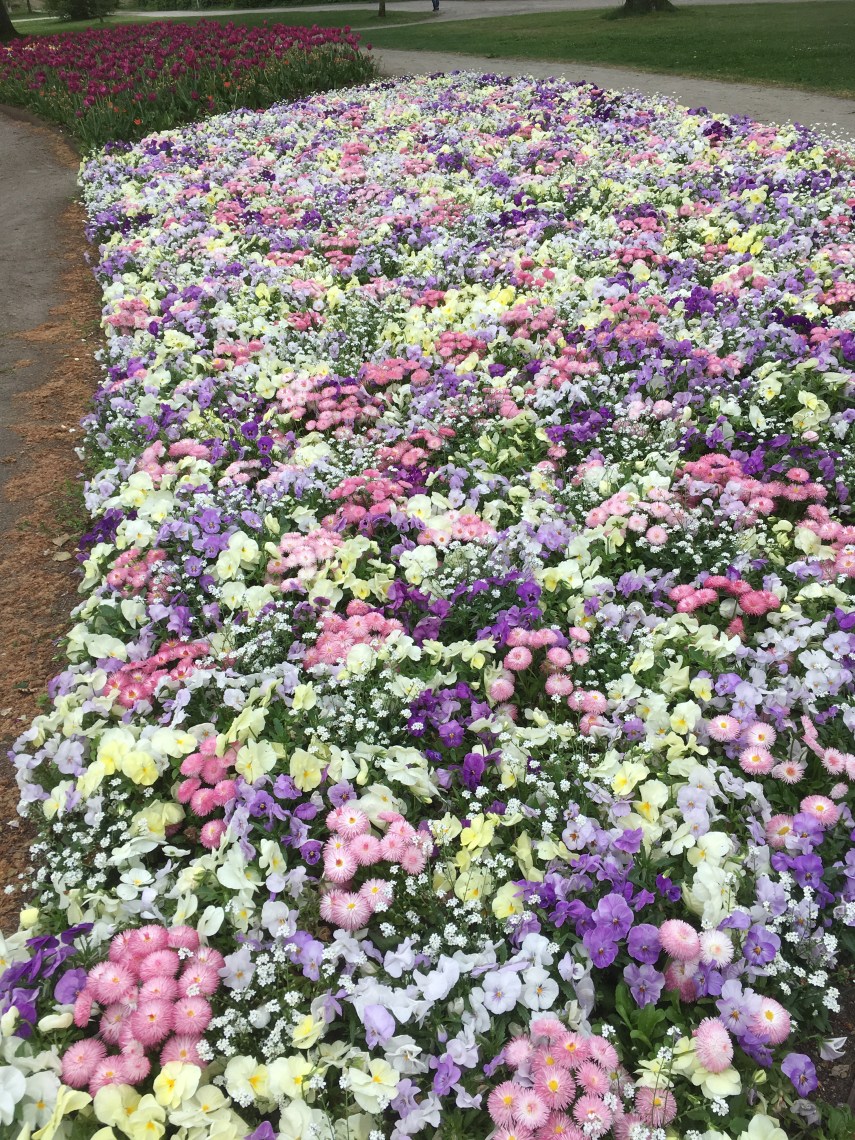 Flowerbed in Växjö close to Linnés place of birth
