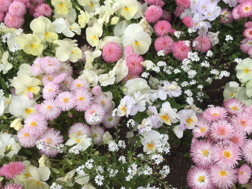 Flowerbed in a park in Växjö close to Linnés place of birth