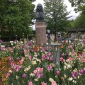 Surrounded by flowers, a statue of Carl von Linné in a park in Växjö close to his Latin&nbsp;School