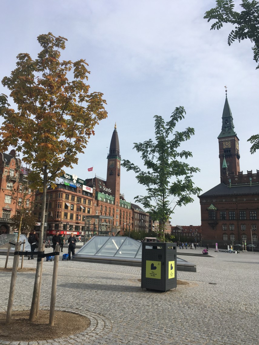 The Town Hall in the background to the right