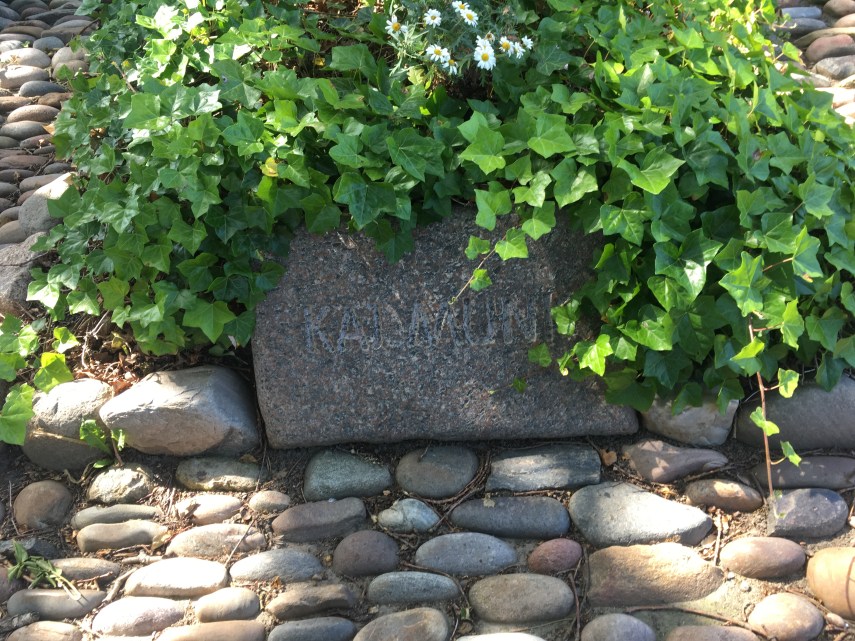 Kaj Munk's gravestone in the Vedsersoe Churchyard