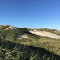 The sand dunes close to Vedersoe where Kaj Munk worked as a priest&nbsp;1924-1944