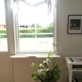 Newly painted walls, new curtains and apple&nbsp;blossom